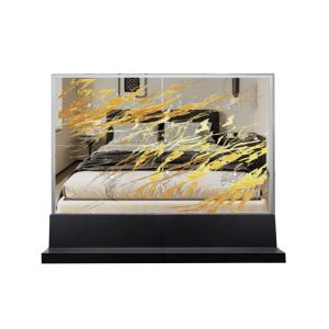 China 30'' See Through OLED Advertising Transparent OLED Signage 30 Inch wholesale
