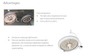 China 3500K Hospital Theatre Lights Ceiling Mounted 48W LED Medical Light wholesale