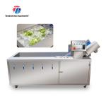 185KG Commercial fruit and vegetable washing machine stainless steel ozone