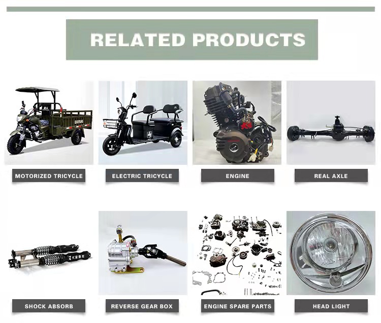 Customized Color Adults 3 Wheel Electric Tricycle with 72V Motor Power and 3.75-12 Tire