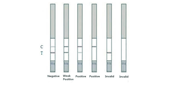Tilmicosin Rapid Test Strip For Milk 96 Tests/Kit Detection Limit 5 - 8 Ppb