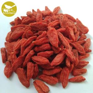 China New Crop Organic Ningxia Wolfberry Dried Goji Berries From Ningxia Manufacturer wholesale