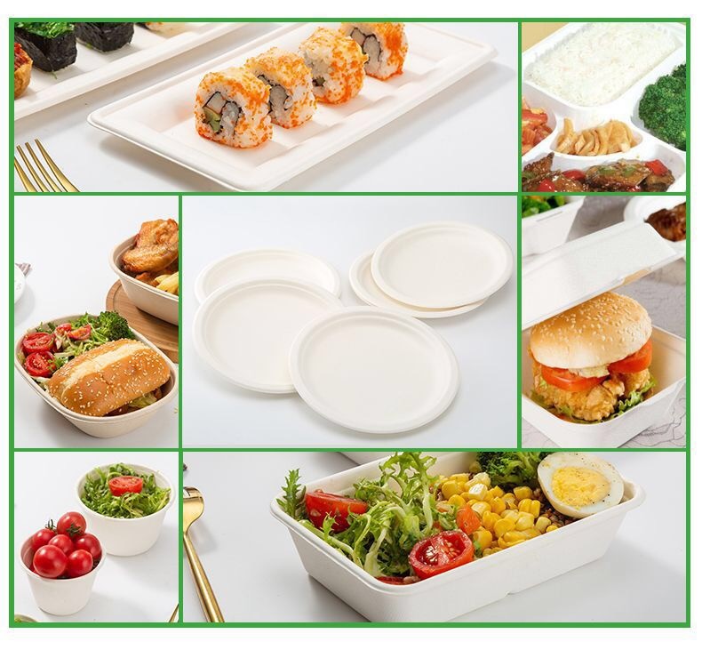 Compostable Biodegradable Disposable 9inch 10inch Sugarcane Sugar Cane Bagasse Party Dinner Plate