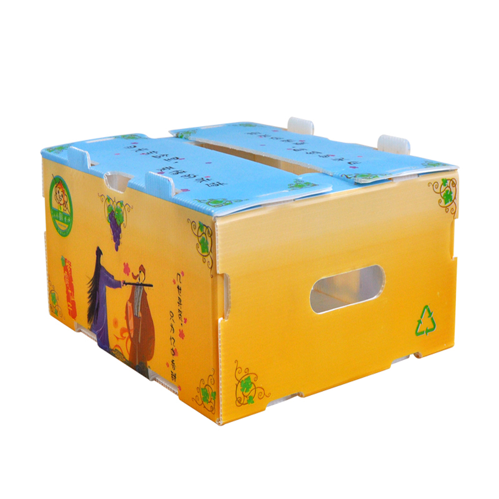 OEM Broccoli Fruit Corrugated Boxes Corrugated Plastic Delivery Box