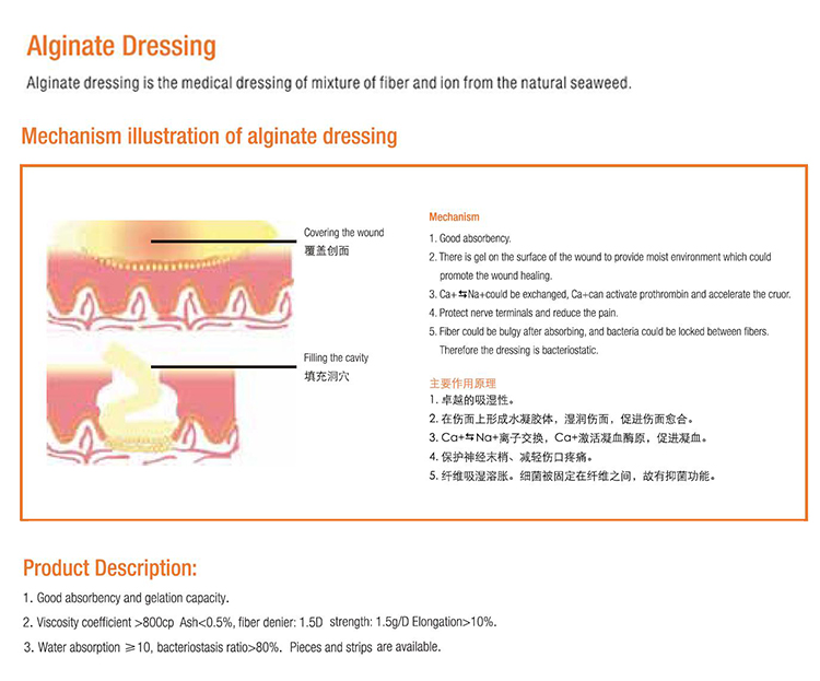 Rope High Quality Medical Calcium Alginate Wound Dressing with Best Price