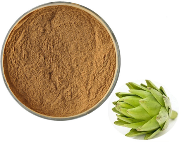 100% natural Herb Artichoke Extract 5% Cynarin powder