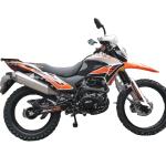 Bolivia Hot Sale FENIIX 250CC Dirt Bike ZS Engine 250cc 300cc Motocross Enduro