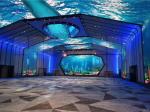 Customized Led Screen Live Performance Wedding Background Airport Use Waterproof