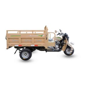 150cc Cargo Motor Tricycle 3000kg Load Capacity 1700x1250mm