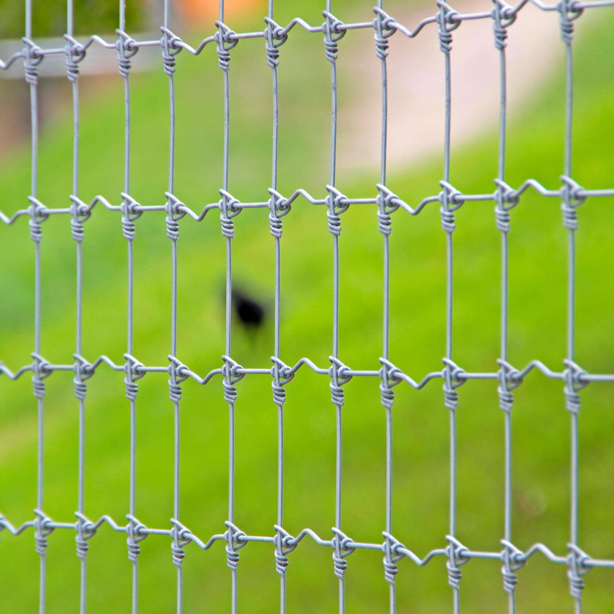 Hot Dip Galvanized Deer Fixed Knot Fence 4ft 5ft 6ft 7ft 8ft