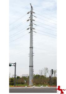 China Networking Monopole Communication Towers Pole LDTXT-24308 wholesale