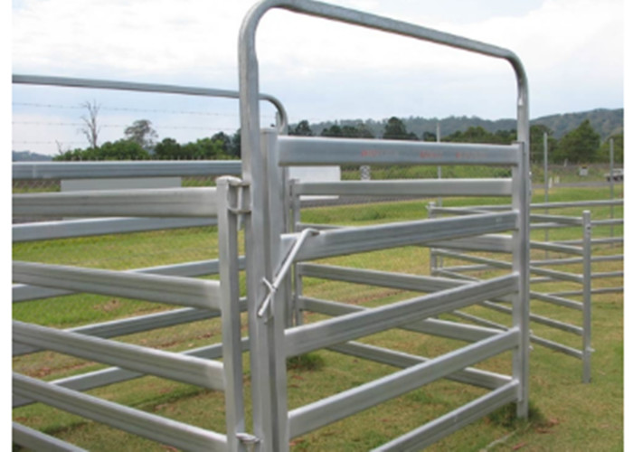 Metal Cattle Farm Equipment 1.6 * 1.8 Meters Hot Dip Galvanized Fence Panel