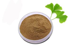 China Medical Grade Anti Oxidant Pure Ginkgo Biloba Extract Powder wholesale