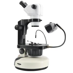China Wide Field Fluorescence Microscopy , 115mm Working Distance Microscope wholesale