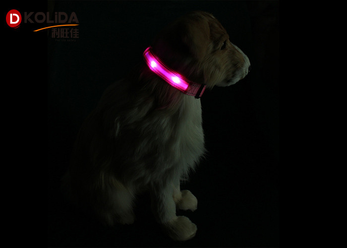 Luminous Night Flashing Glowing USB Rechargeable LED Dog Collar For All Seasons