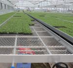 Nursery Seed Grow Bed Commercial Mesh Grow Table Rolling Benches For Greenhouse