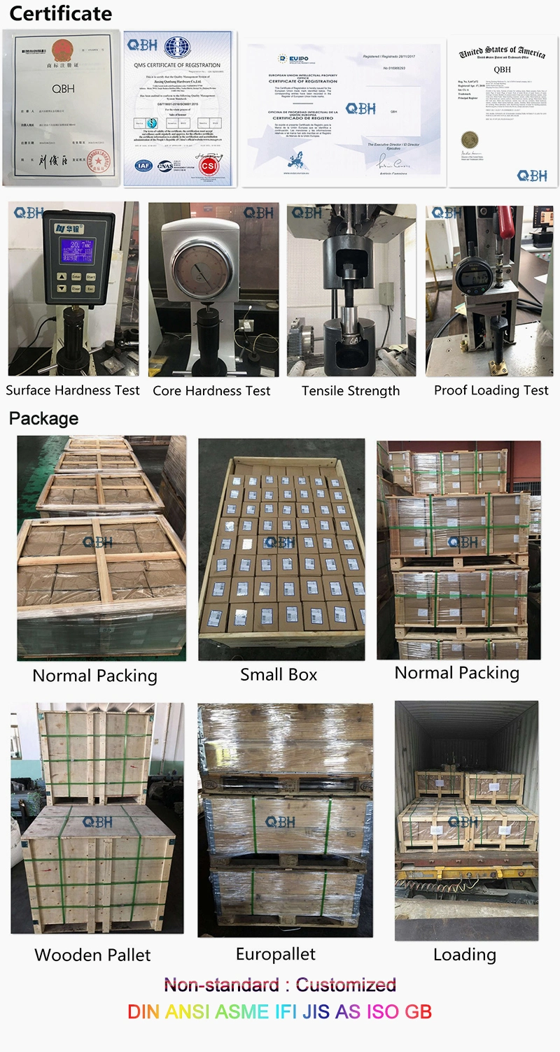 Qbh Customized Truss Wafer Head SDS Screw