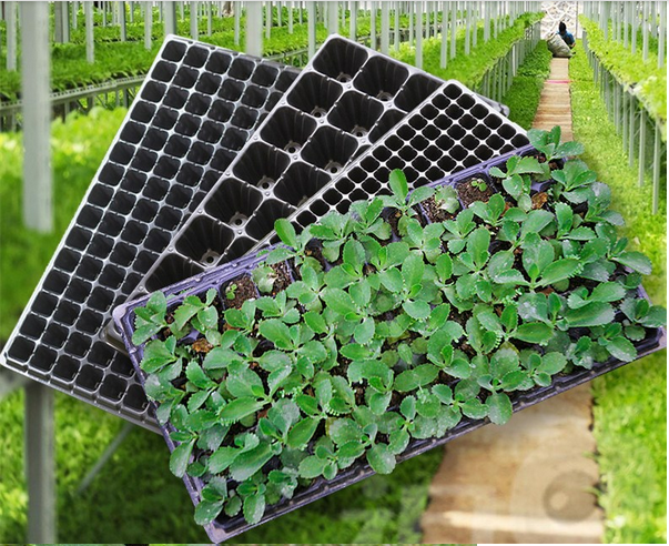 72 cells PS ,PVC plastic seed and seeding nursery starting agriculture tray