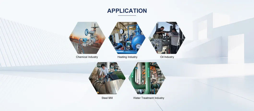Special Liquid Level Transmitter for Gasoline Pressure Transmitter Testing Sensor Proble