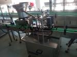 2kw Glass Bottle Filling And Capping Machine , 50ml SS316 Rinsing Filling
