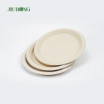 Sushi Biodegradable Sugarcane Bagasse Plates Recycled 155mm Jiurong