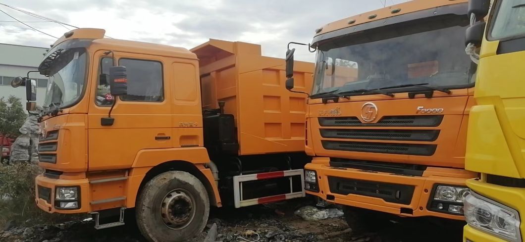 Shacman F3000 6X4 10 Wheels Dump Truck in Different Color From China
