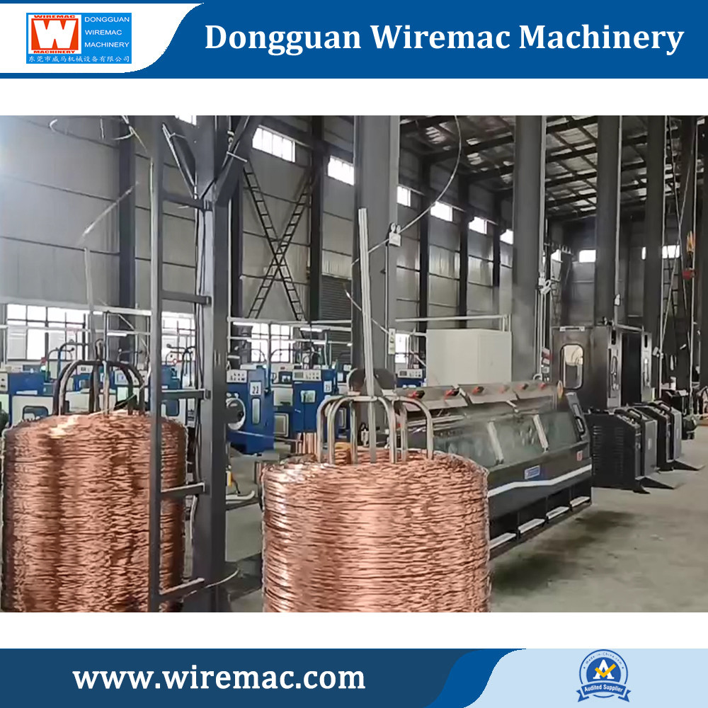 Ceramic Pulley Type Twin Wire Drawing Machine With Low Power Consumption