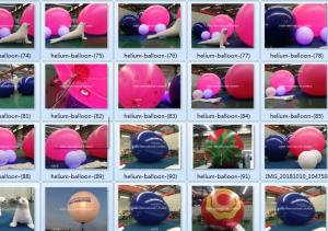 China Pink Helium Balloon And Inflatable Decorations Carton Sea Dog For Events wholesale