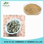 Health-care Product Instant Tea Powder Pure Natural White Tea Extract with