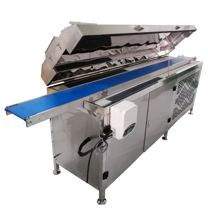 Sticky Date Ball Production Line: Efficient & Automated Snack Manufacturing