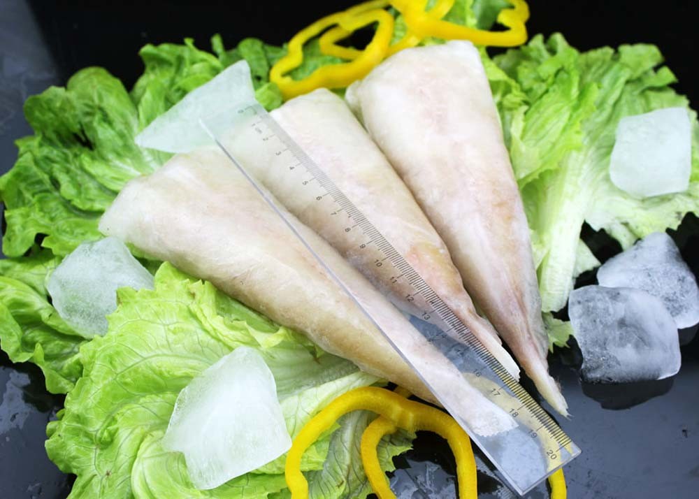 Natural Color frozen Monkfish tail