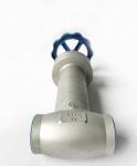 Casting Stainless Steel Globe Valve Cryogenic Flange Valve DIN -196~80 ℃