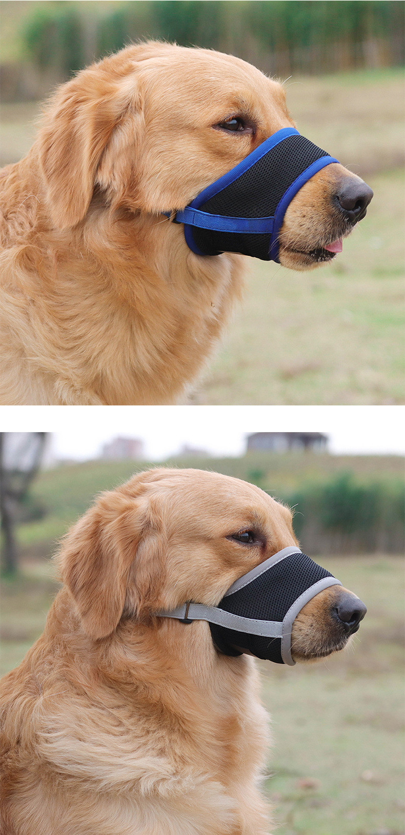 Pet Mask Anti-barking and Anti-biting Dog Muzzle Breathable Mesh Pet Muzzle Anti-ingestion Pet Supplies