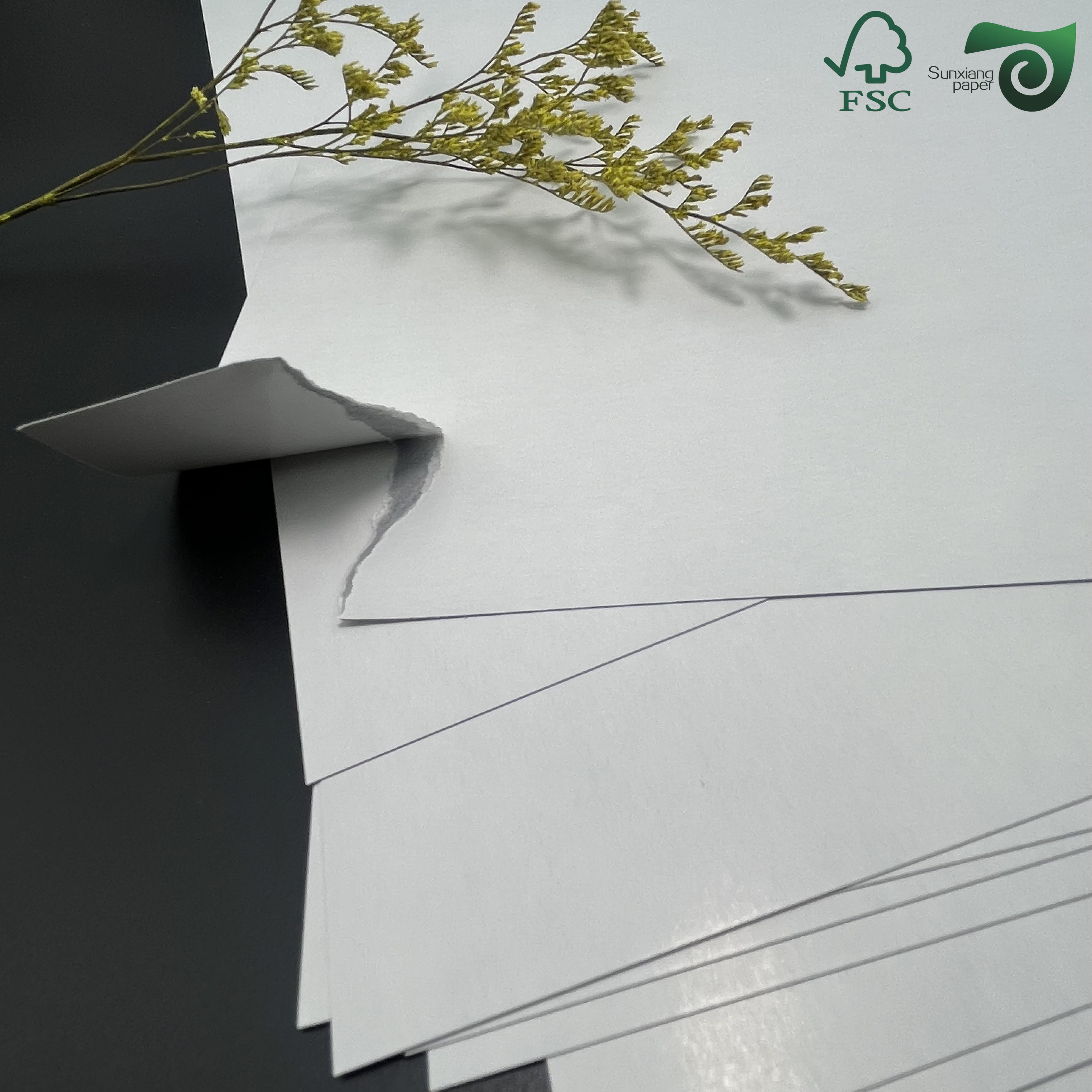FSC Black Core White Paper Cardboard 290gsm 300gsm For Card Making
