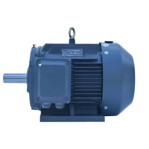 China High Voltage 3 Phase Slip Ring Induction Motor 30KW 45KW 55KW 75KW 90KW 110KW wholesale