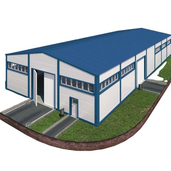 Prefab Metal Building Steel Structure Workshop Portal Frame Structure