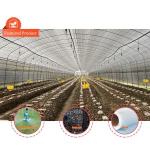 China Serre Gewachshaus Sklenik Serra Invernadero Greenhouse For Growing Vegetables wholesale