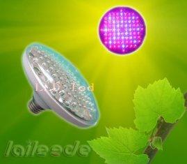 China 4W / 90W 220V 50Hz Led Grow Light Panels with Color Index / CRI for Flower Exhibition wholesale