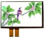 15.6 Inch Capacitive Touch Panel