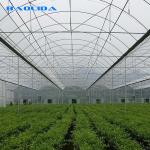 Agriculture Natural Ventilation Greenhouse Temperature Control Multi Span