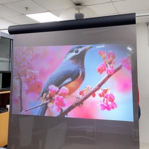 China Projection Screen Vinyl Fabric Korea Touch Transparent Rear Projection Film Reflective wholesale