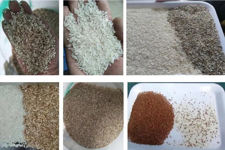 CCD Nir Sensor Black Red Rice Color Sorter Intelligent