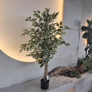 China Hypoallergenic Plastic Fake Plants Insect Resistant 120CM wholesale