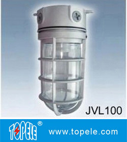 100W 220V Brozen, Gray IP65 Die-Cast Aluminum Vapor Proof Lights, Led Flood