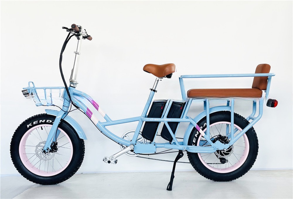 48V Electric Dual Motor 1000 Watt Long Range Fat Tire Cargo E-Bike with Fast Charging