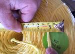 Yellow High Breaking Strength PP 2.5mm Banana Twine agricultural baler twine