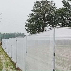 China 50mesh High Density Agriculture Insect Net 50-90gsm Vegetable Anti Insect Net wholesale