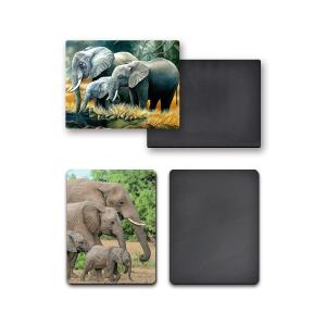 China Heidelberg Machine 3D Fridge Magnets Lenticular Offset Printing wholesale