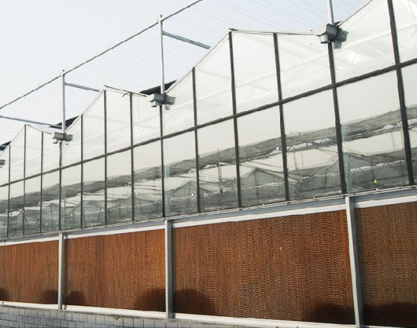 Long Use Time Chicken Farm High Water Resistant Outdoor Cooling System for Chicken House Evaporative Cooling Pads