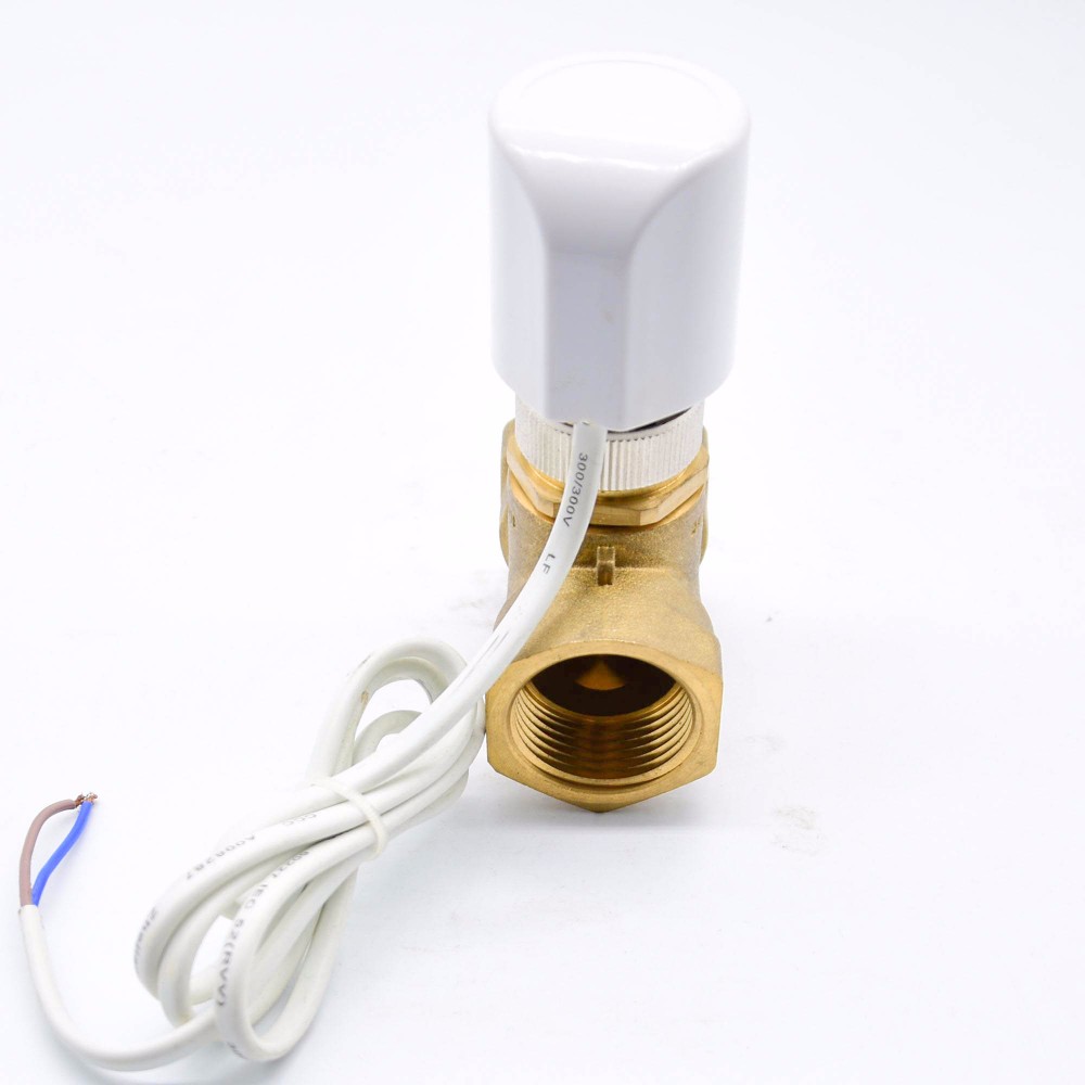 Dn15 Dn20 Dn25 Motorized Brass Water Valve , Two Way Electric Water Flow Control Valve